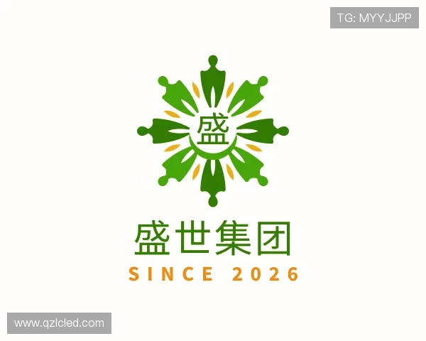 关于盛世集团